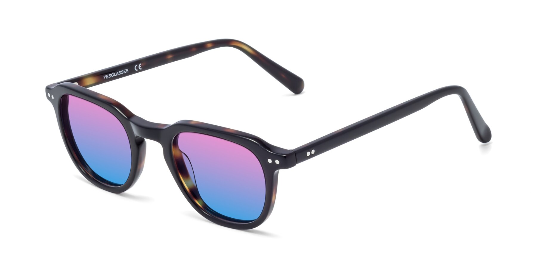 Angle of 1484 in Tortoise with Pink / Blue Gradient Lenses