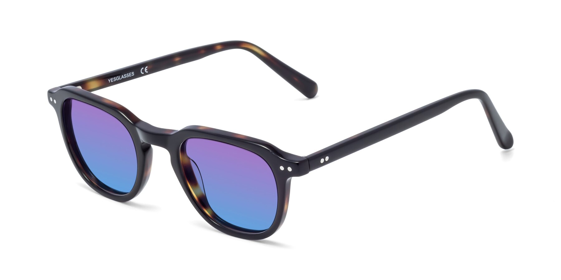 Angle of 1484 in Tortoise with Purple / Blue Gradient Lenses
