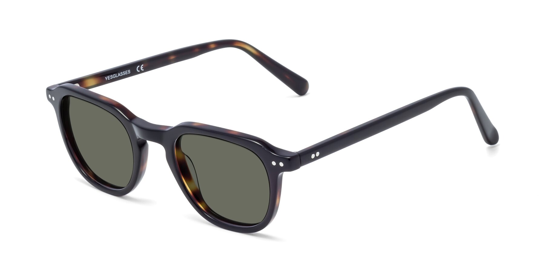 Angle of 1484 in Tortoise with Gray Polarized Lenses
