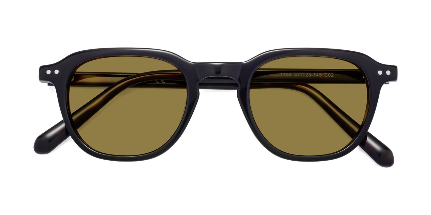 1484 - Tortoise Polarized Sunglasses