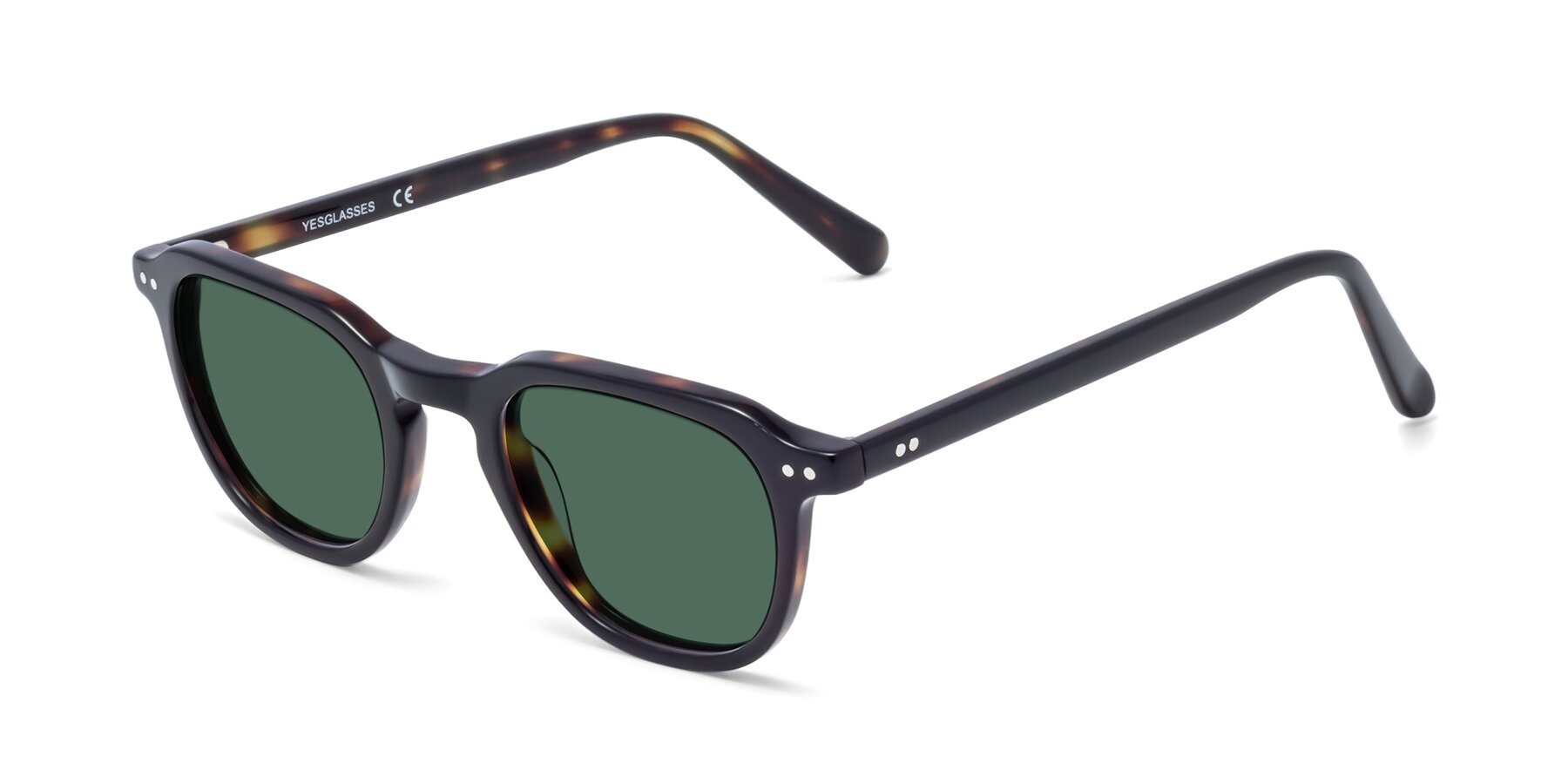 Angle of 1484 in Tortoise with Green Polarized Lenses