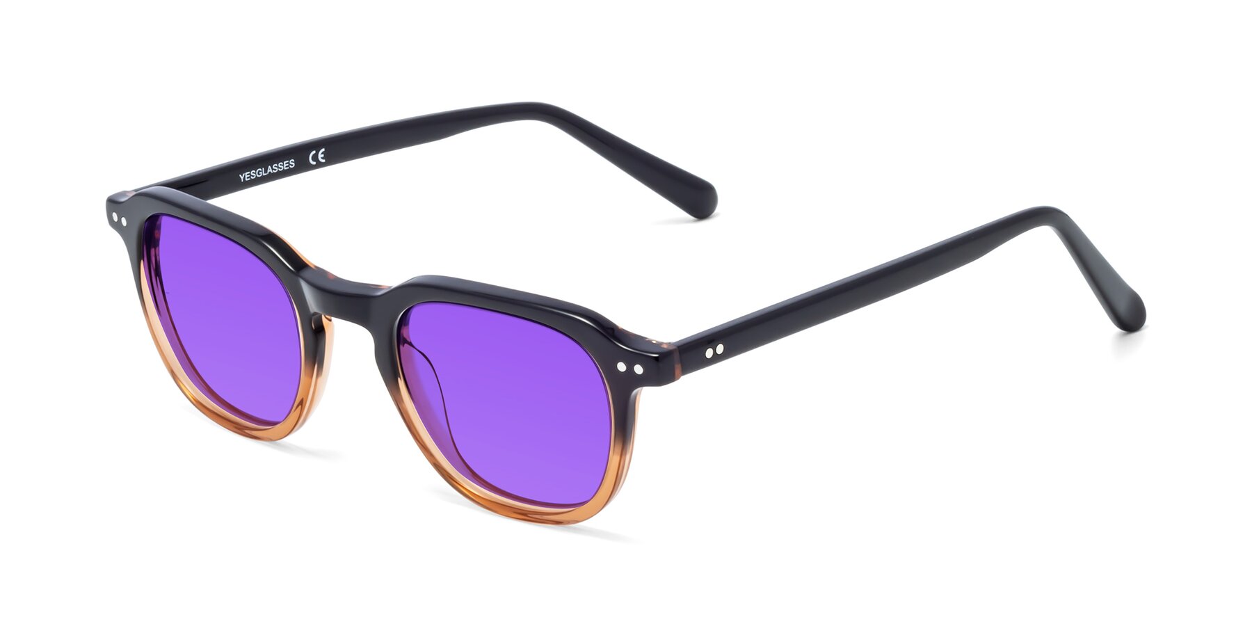 Angle of 1484 in Gradient Brown with Purple Tinted Lenses