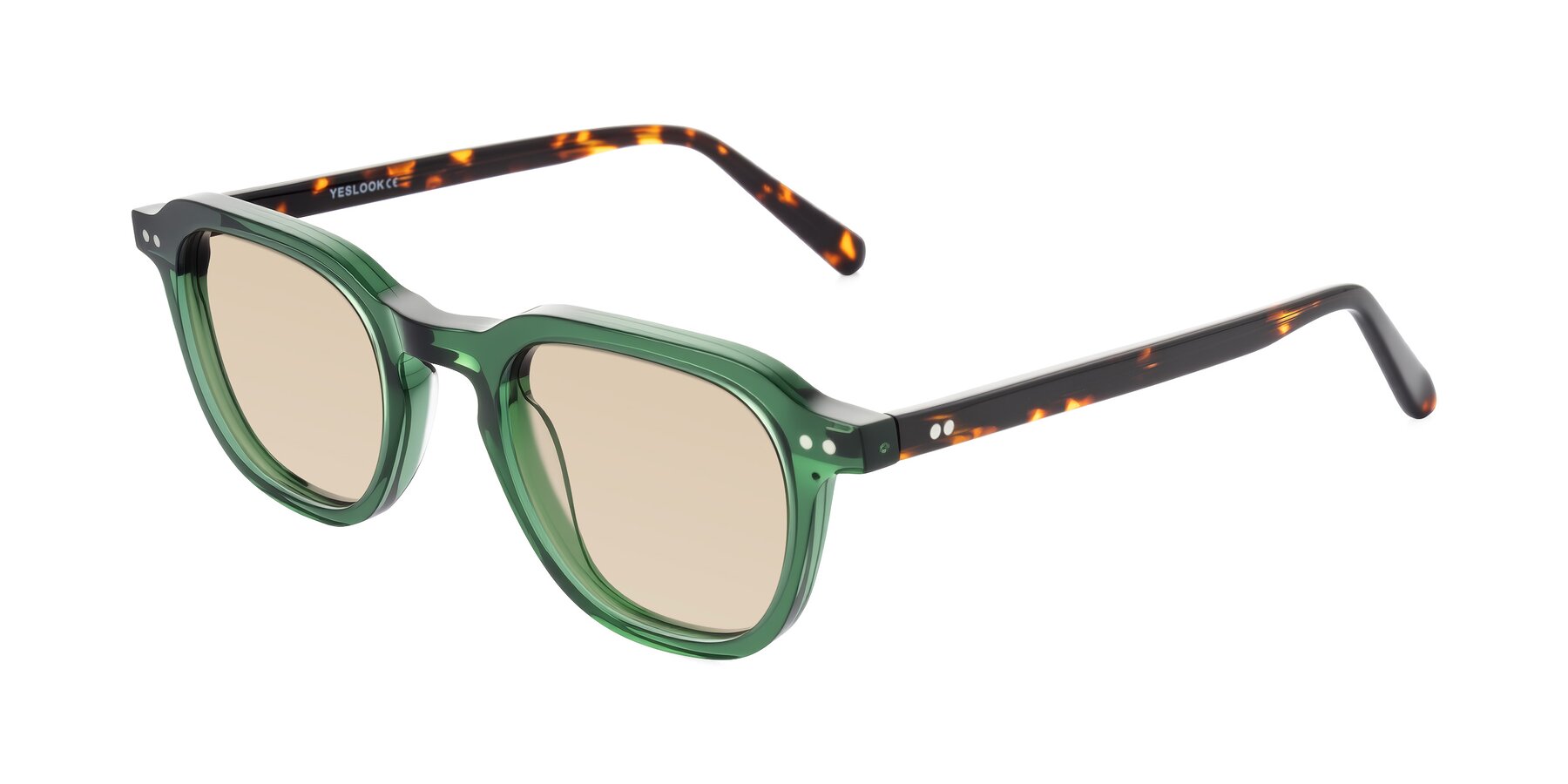 Angle of 1484 in Green/Tortoise with Light Brown Tinted Lenses