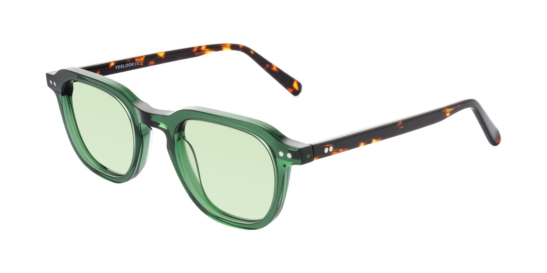 Angle of 1484 in Green/Tortoise with Light Green Tinted Lenses