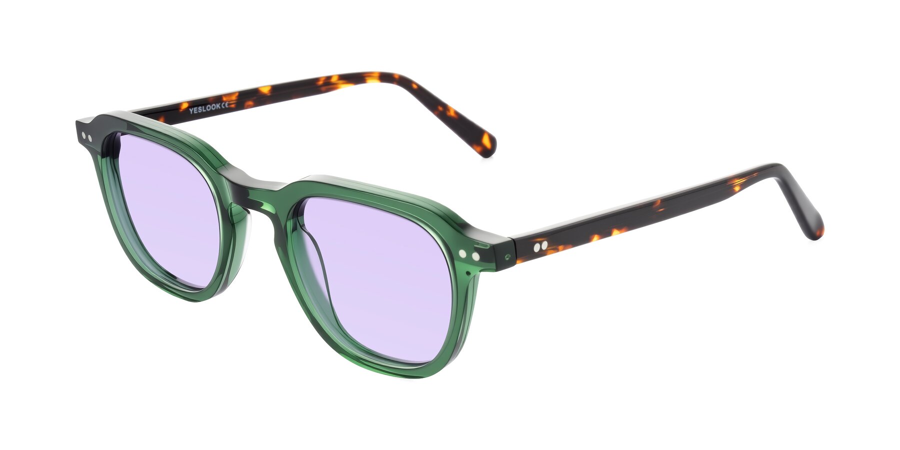 Angle of 1484 in Green/Tortoise with Light Purple Tinted Lenses