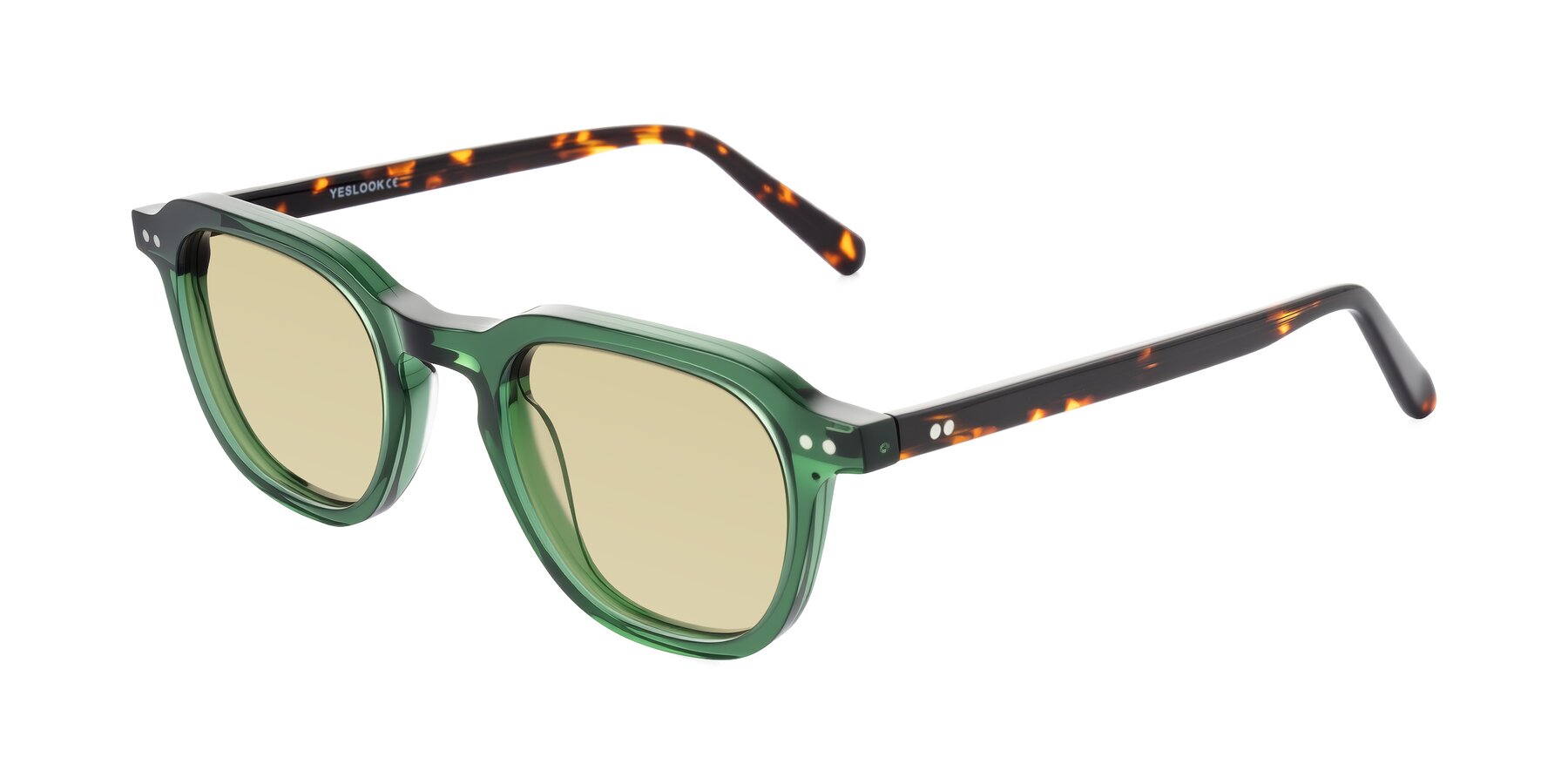 Angle of 1484 in Green/Tortoise with Light Champagne Tinted Lenses