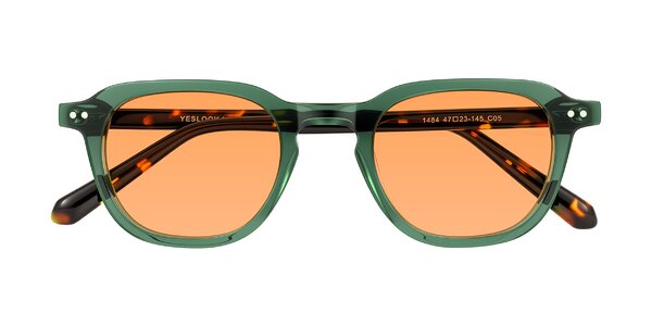 Front of 1484 in Green/Tortoise