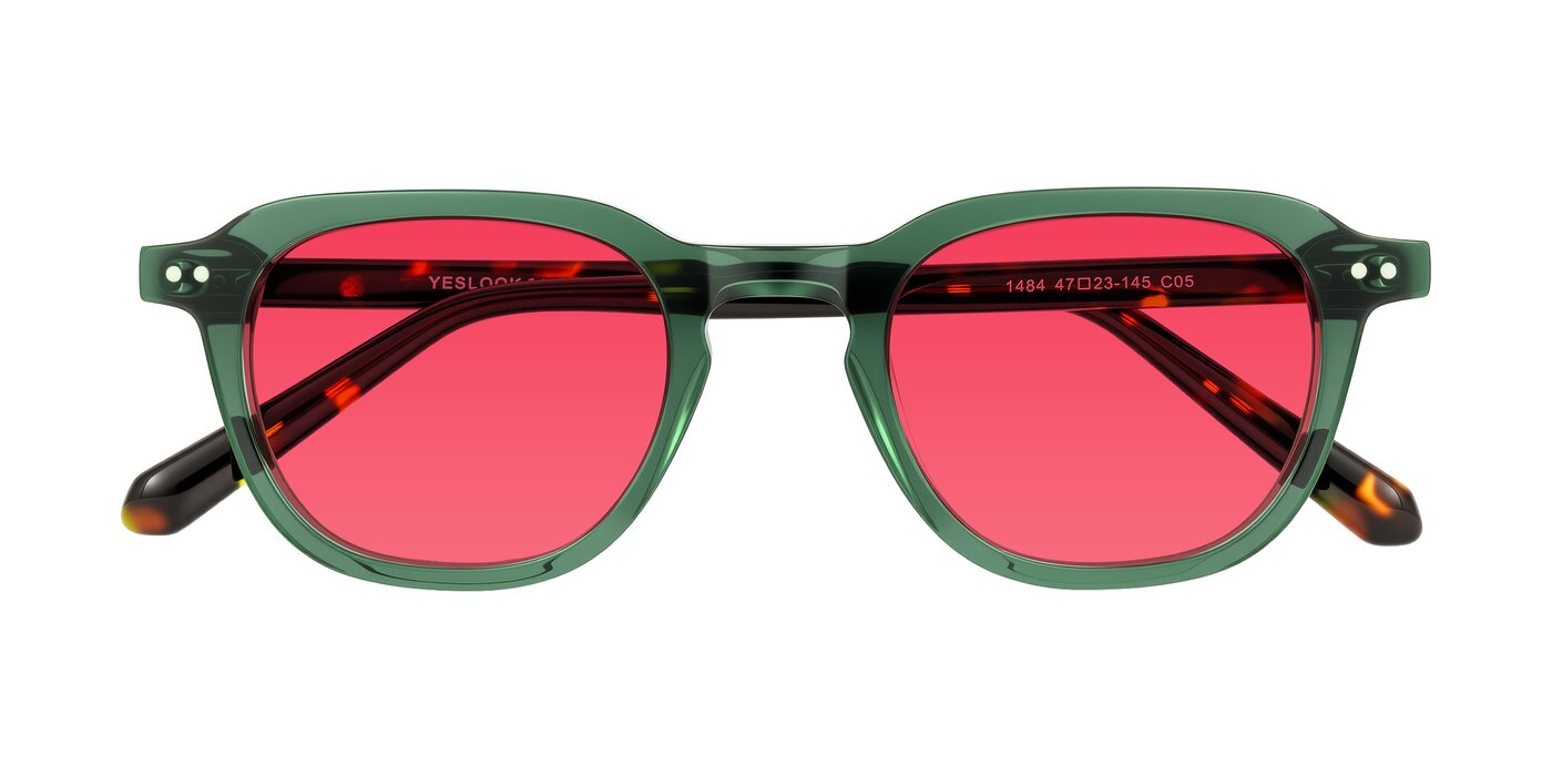 1484 - Green/Tortoise Tinted Sunglasses