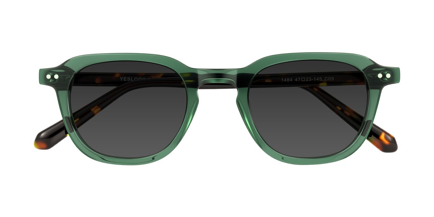 1484 - Green/Tortoise Tinted Sunglasses