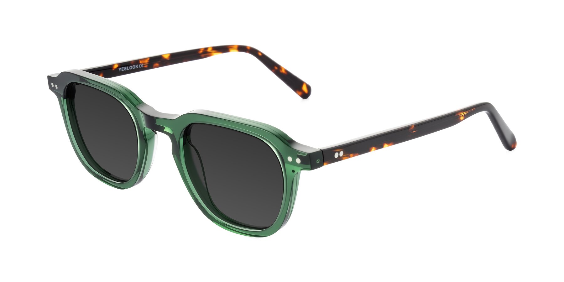 Angle of 1484 in Green/Tortoise with Gray Tinted Lenses