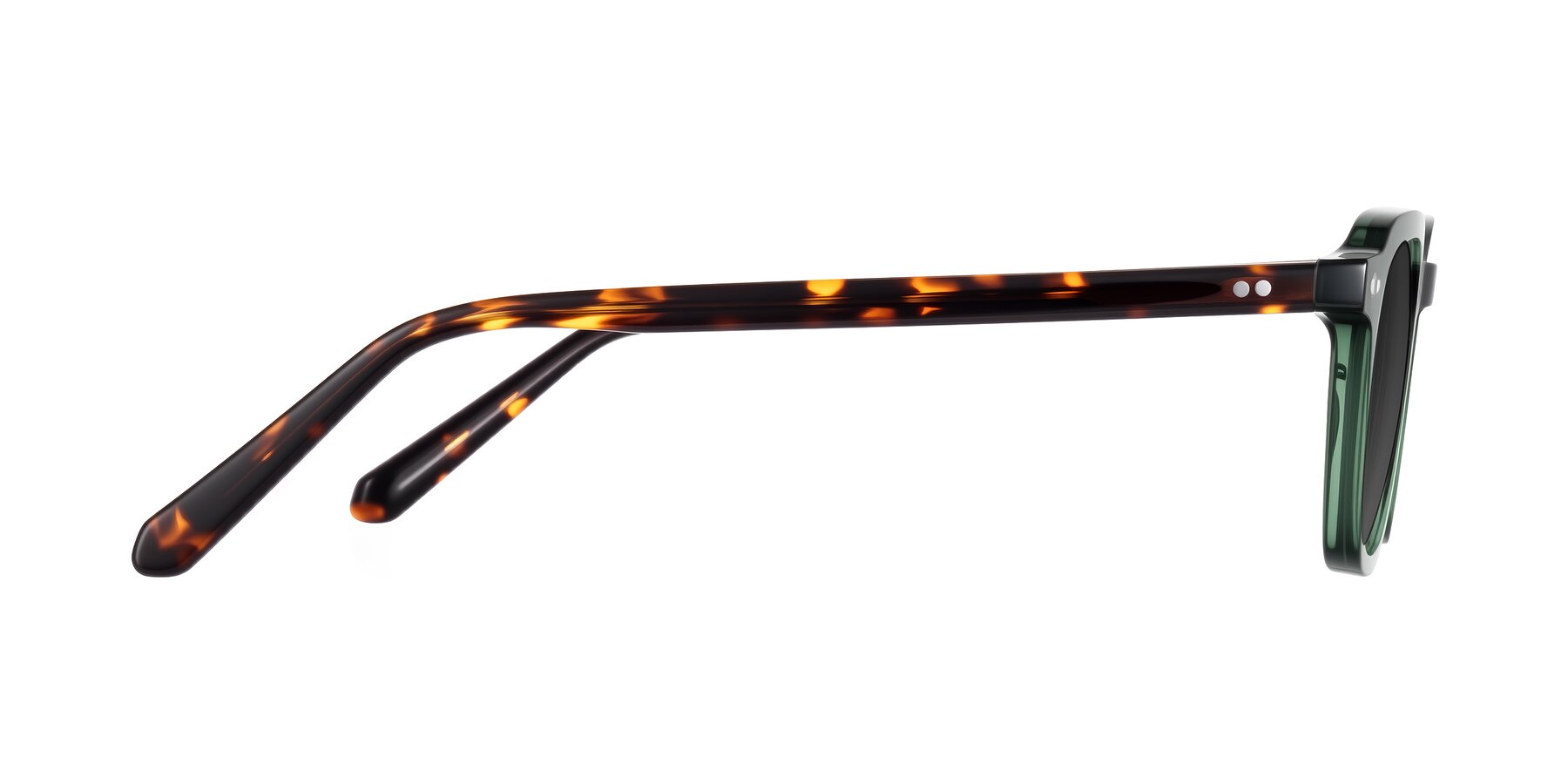 Side of 1484 in Green/Tortoise with Gray Tinted Lenses