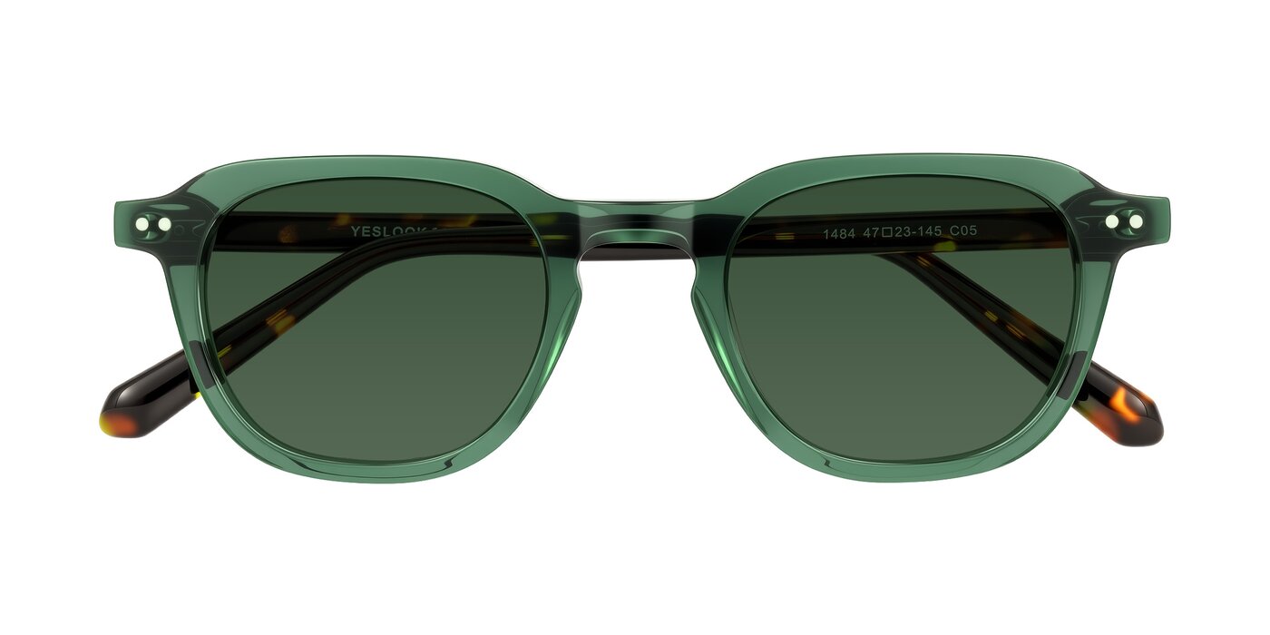1484 - Green/Tortoise Tinted Sunglasses