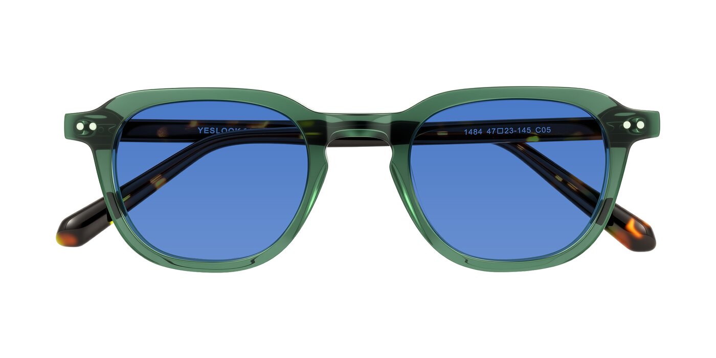 1484 - Green/Tortoise Tinted Sunglasses