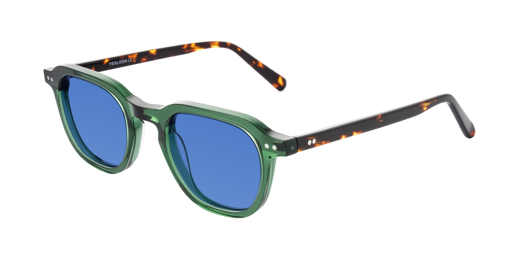 Angle of 1484 in Green/Tortoise with Blue Tinted Lenses