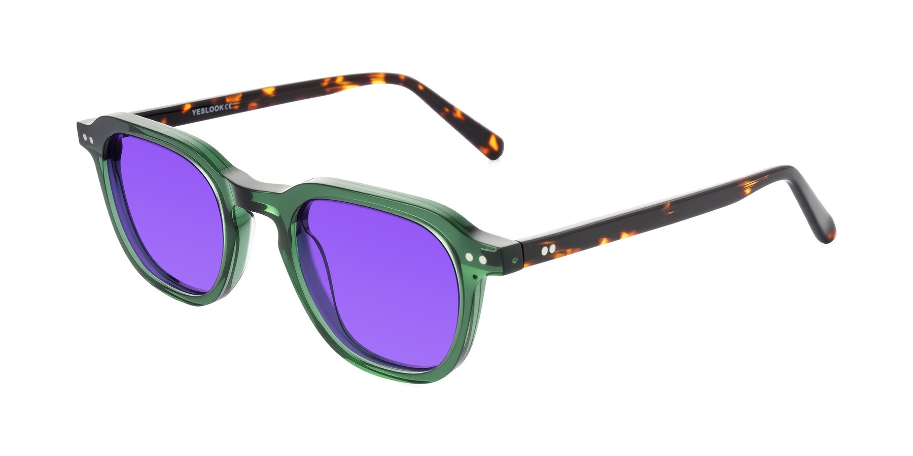 Angle of 1484 in Green/Tortoise with Purple Tinted Lenses
