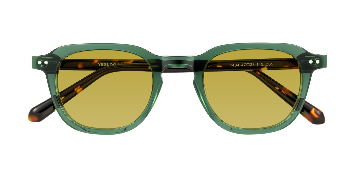 1484 - Green/Tortoise Tinted Sunglasses