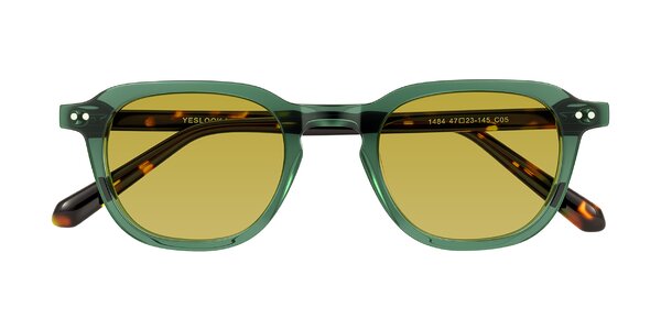Front of 1484 in Green/Tortoise