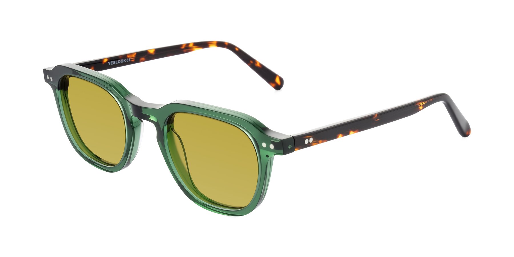 Angle of 1484 in Green/Tortoise with Champagne Tinted Lenses