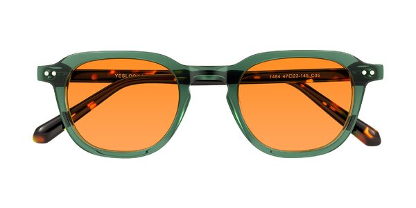 Front of 1484 in Green/Tortoise