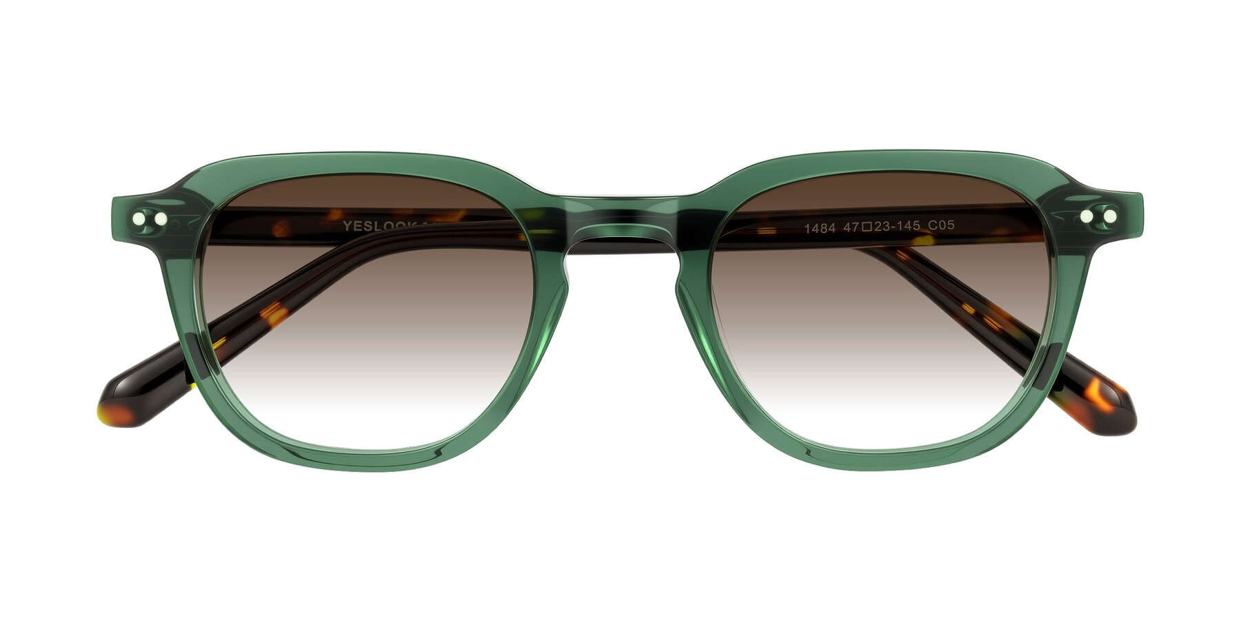 Folded Front of 1484 in Green/Tortoise with Brown Gradient Lenses