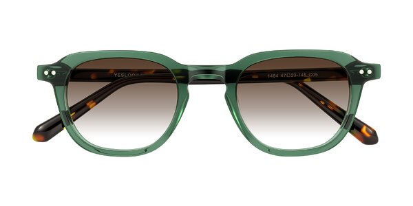 Front of 1484 in Green/Tortoise