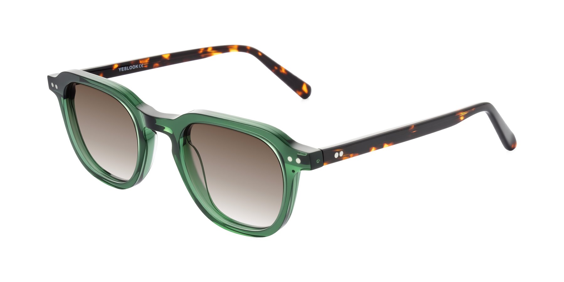 Angle of 1484 in Green/Tortoise with Brown Gradient Lenses
