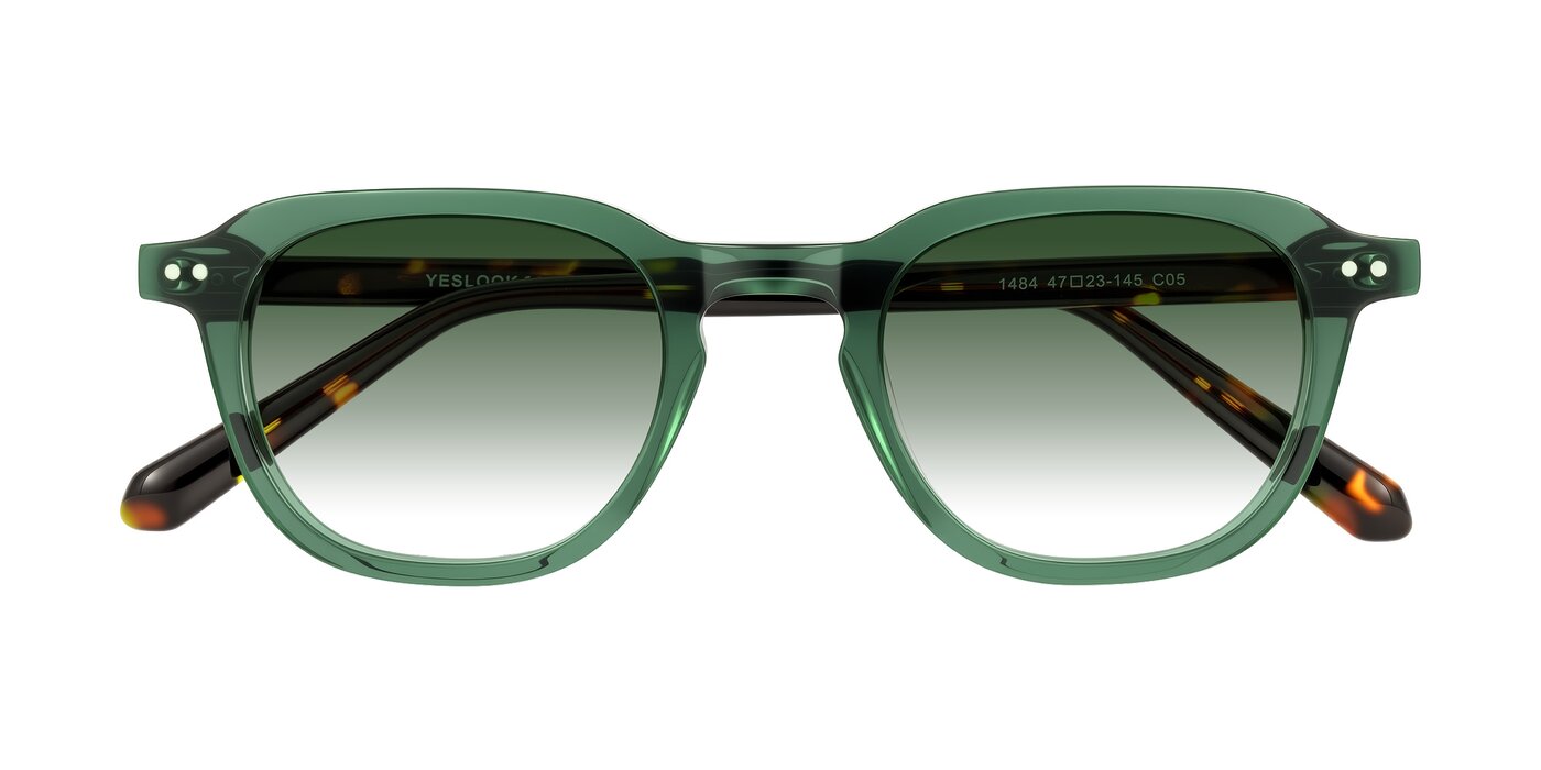 1484 - Green/Tortoise Gradient Sunglasses