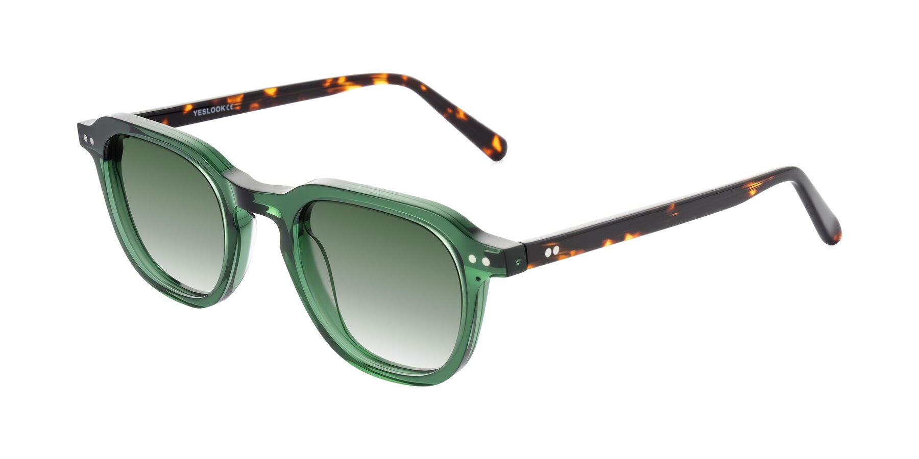 Angle of 1484 in Green/Tortoise with Green Gradient Lenses
