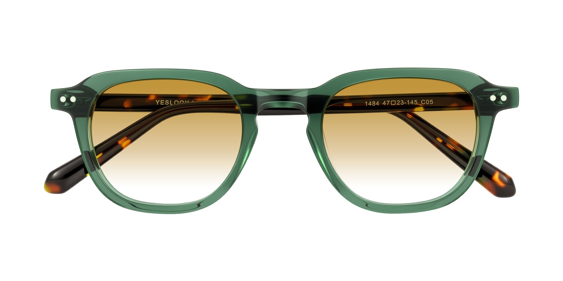 Folded Front of 1484 in Green/Tortoise with Champagne Gradient Lenses
