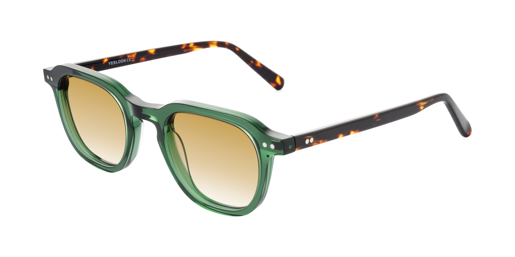 Angle of 1484 in Green/Tortoise with Champagne Gradient Lenses