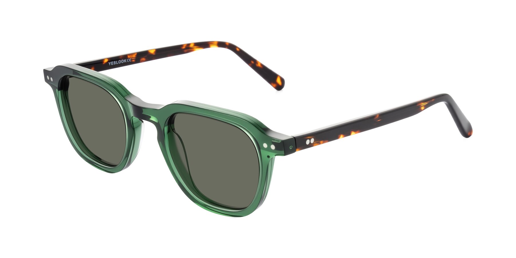 Angle of 1484 in Green/Tortoise with Gray Polarized Lenses