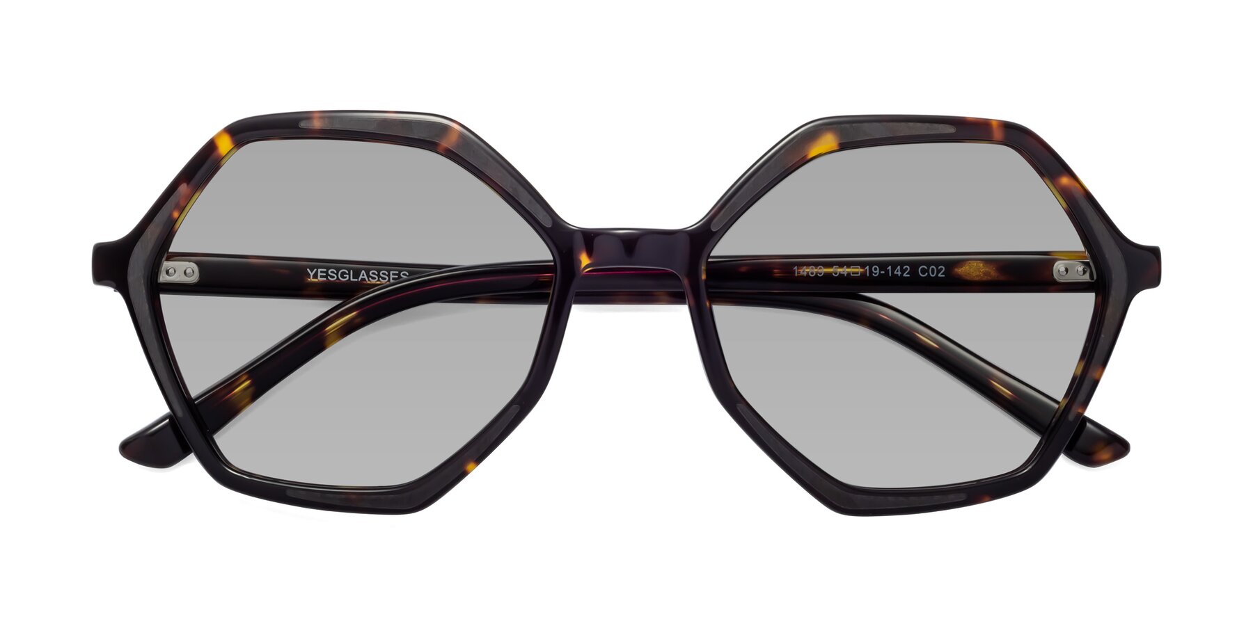 Folded Front of 1489 in Tortoise with Light Gray Tinted Lenses