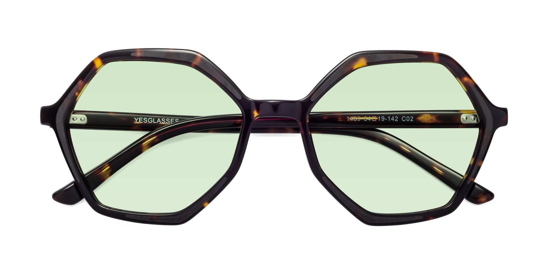Folded Front of 1489 in Tortoise with Light Green Tinted Lenses