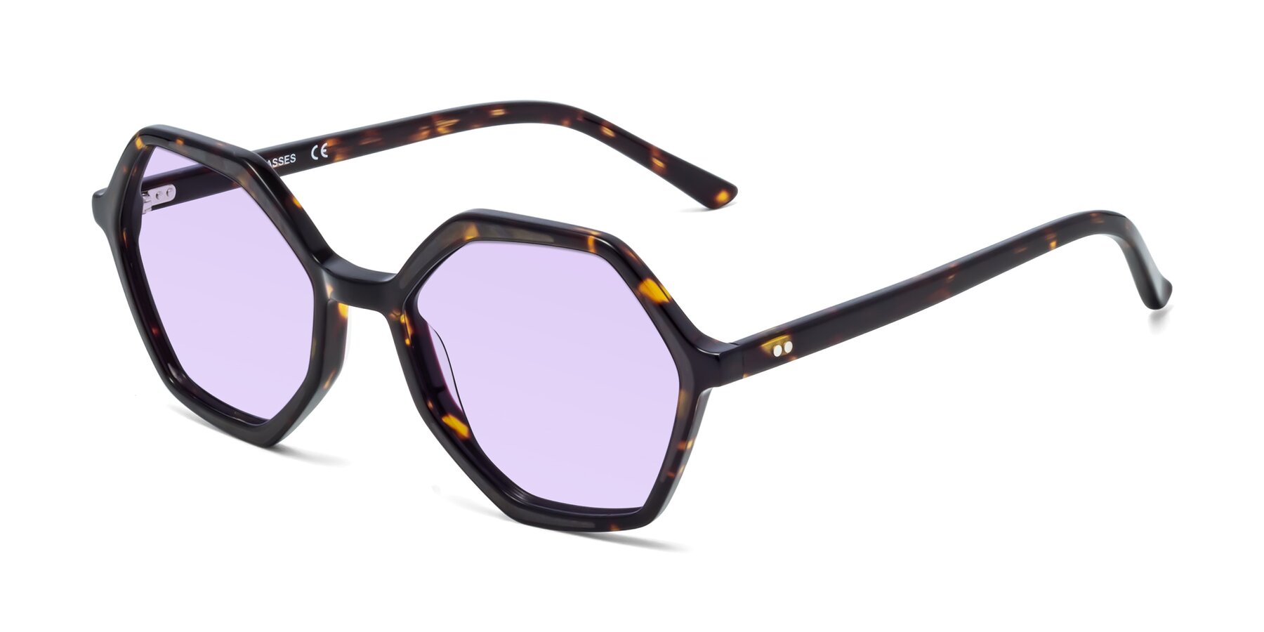 Angle of 1489 in Tortoise with Light Purple Tinted Lenses