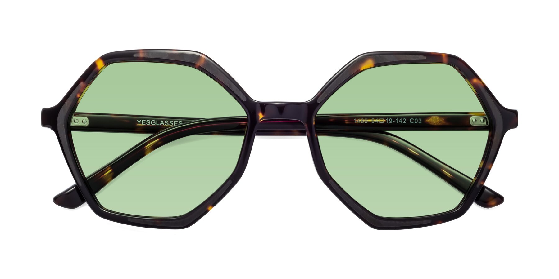 Folded Front of 1489 in Tortoise with Medium Green Tinted Lenses