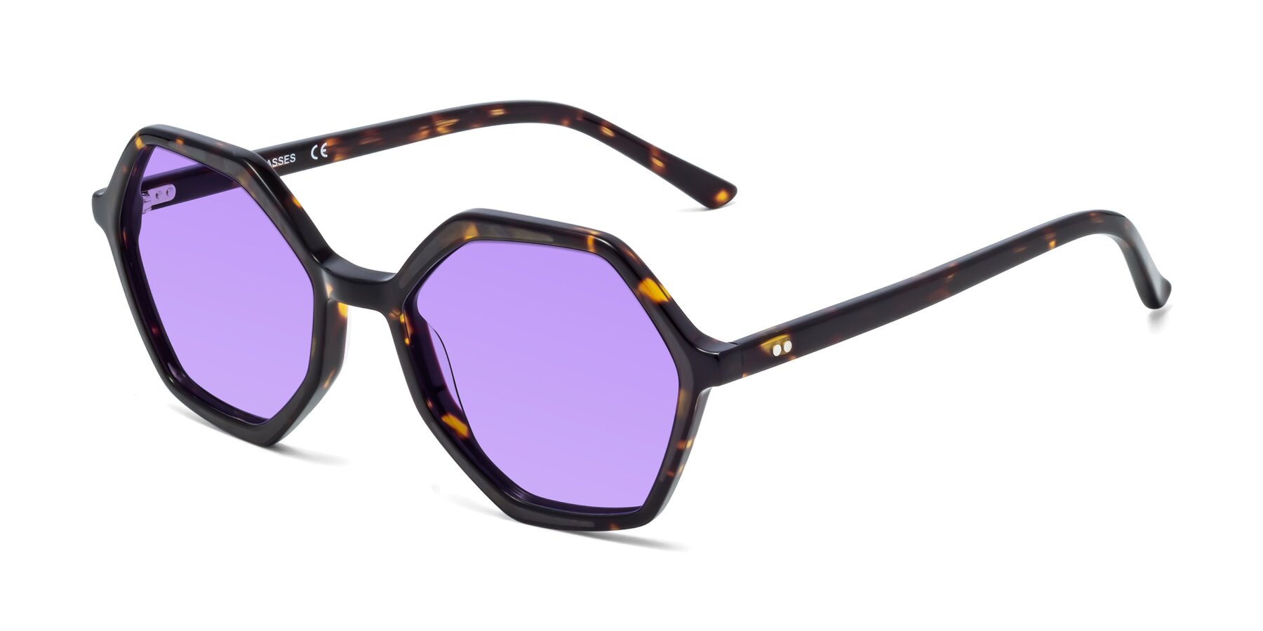 Angle of 1489 in Tortoise with Medium Purple Tinted Lenses