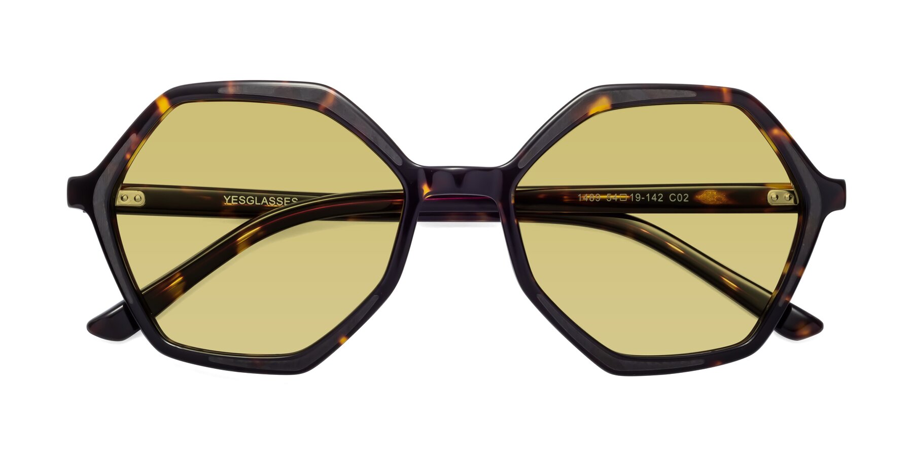 Folded Front of 1489 in Tortoise with Medium Champagne Tinted Lenses