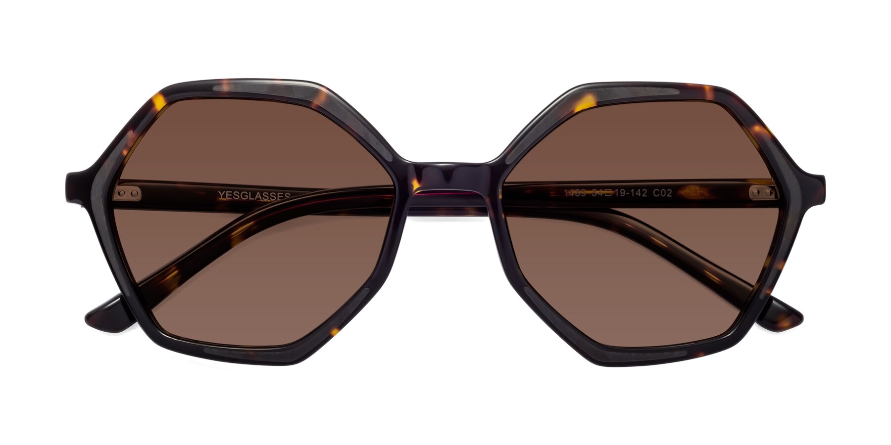 Folded Front of 1489 in Tortoise with Brown Tinted Lenses