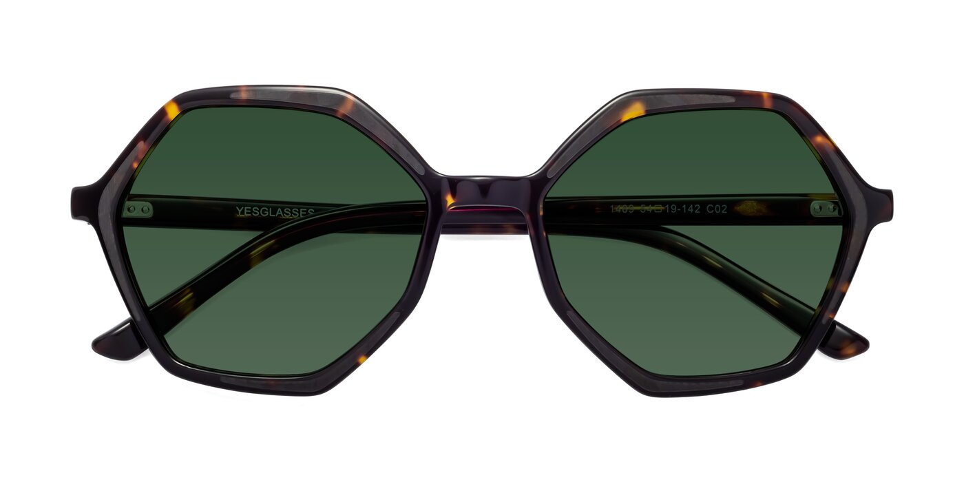1489 - Tortoise Tinted Sunglasses