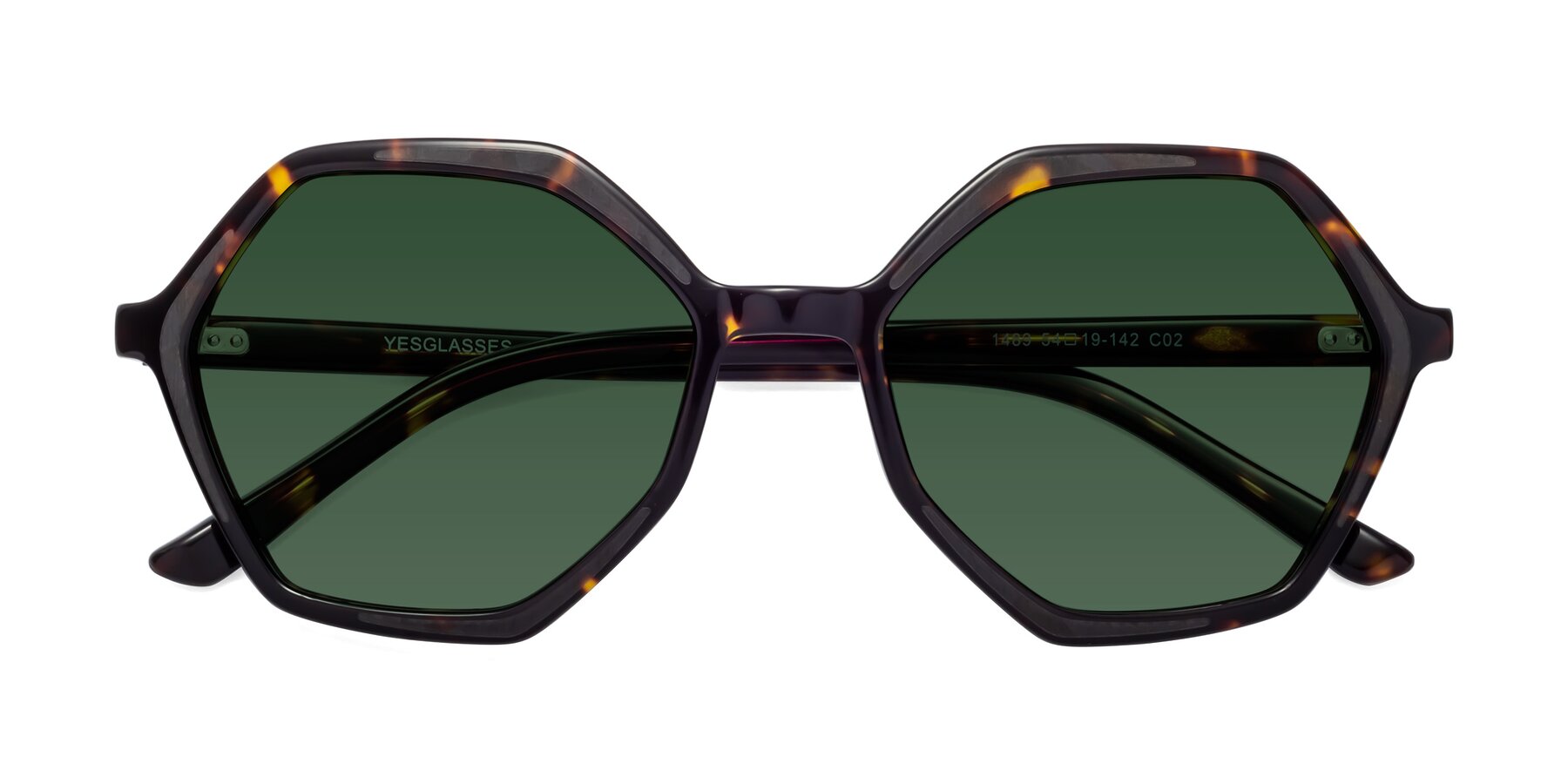 Folded Front of 1489 in Tortoise with Green Tinted Lenses