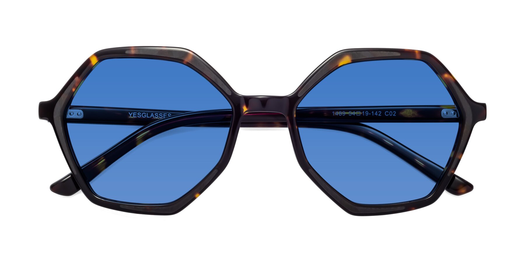 Folded Front of 1489 in Tortoise with Blue Tinted Lenses