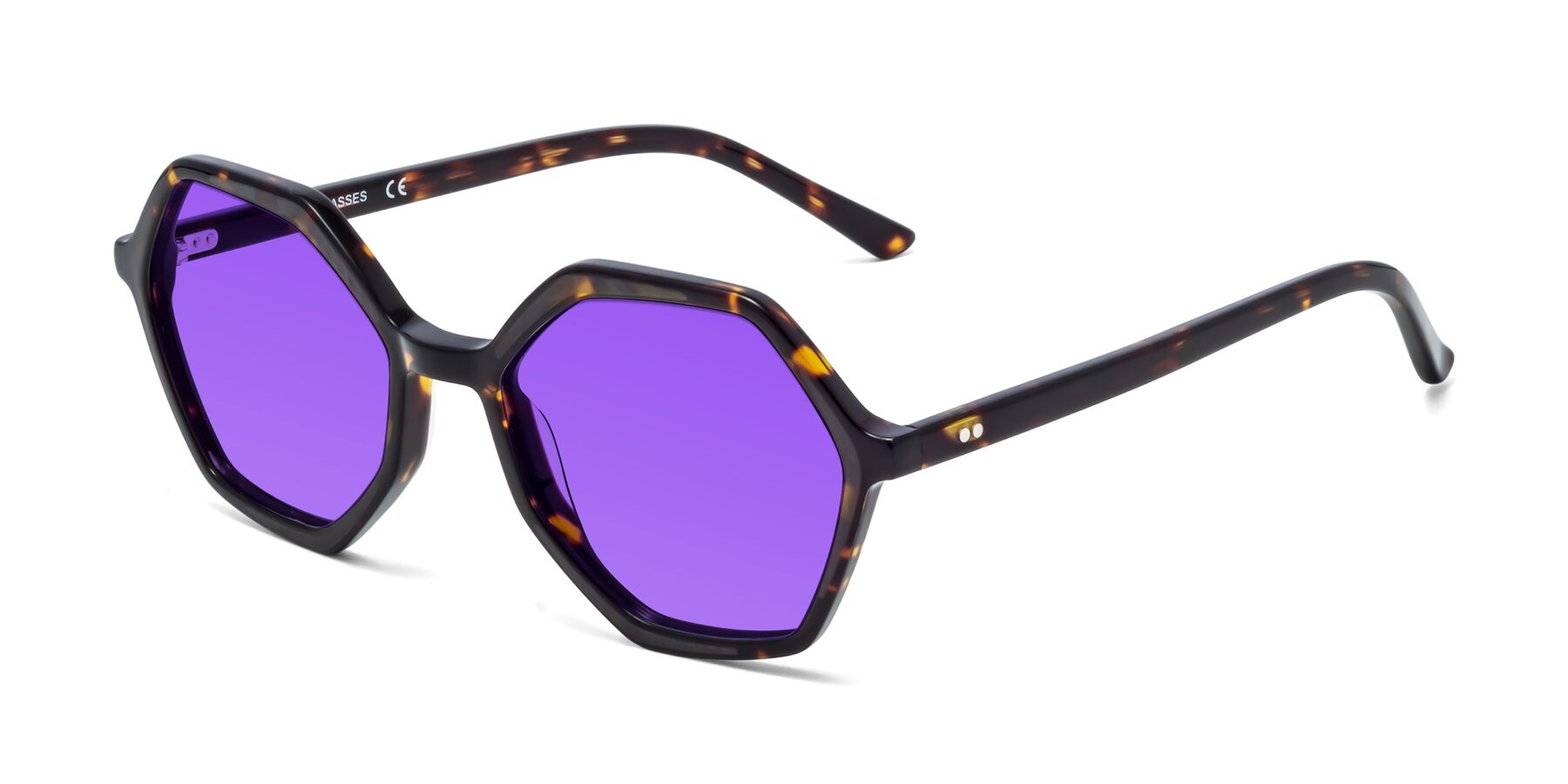 Angle of 1489 in Tortoise with Purple Tinted Lenses