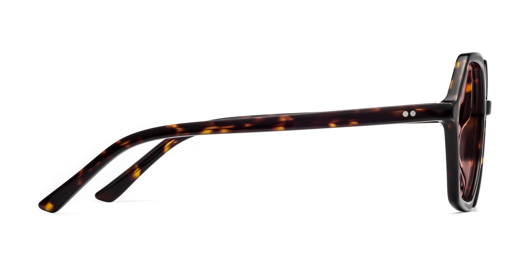 Side of 1489 in Tortoise with Medium Garnet Tinted Lenses