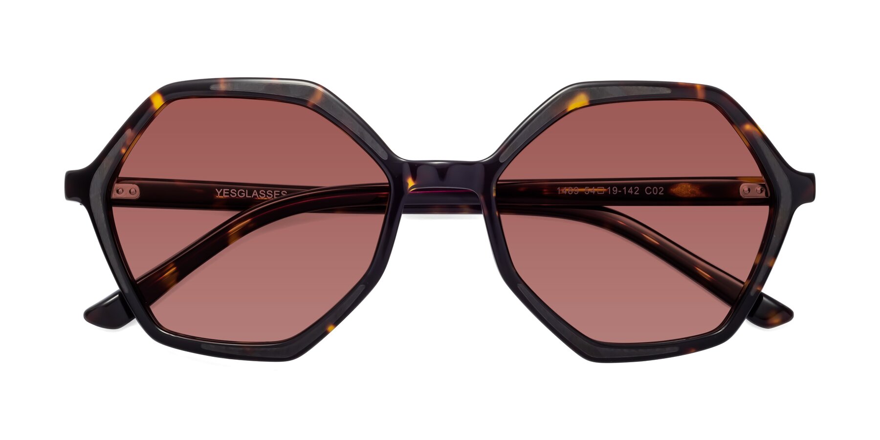 Folded Front of 1489 in Tortoise with Garnet Tinted Lenses