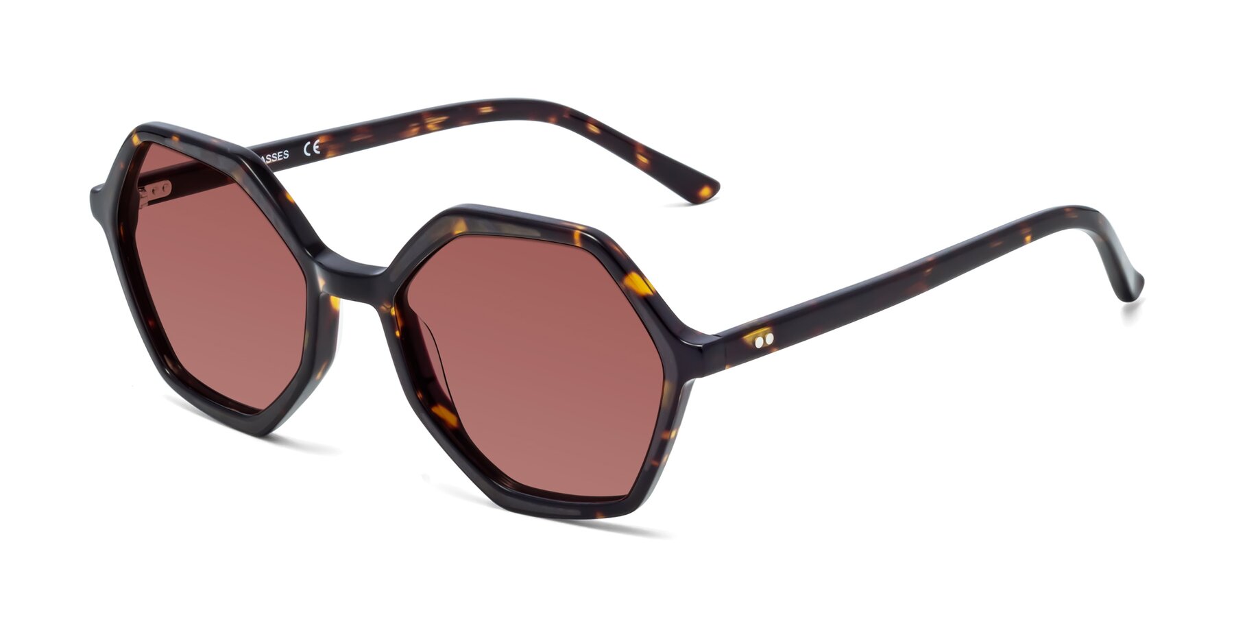 Angle of 1489 in Tortoise with Garnet Tinted Lenses