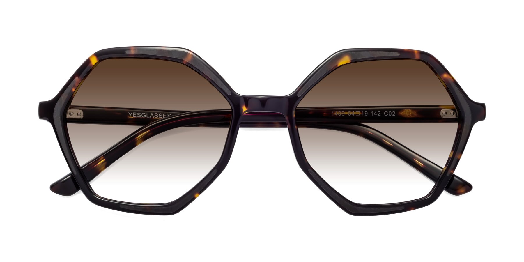 Folded Front of 1489 in Tortoise with Brown Gradient Lenses