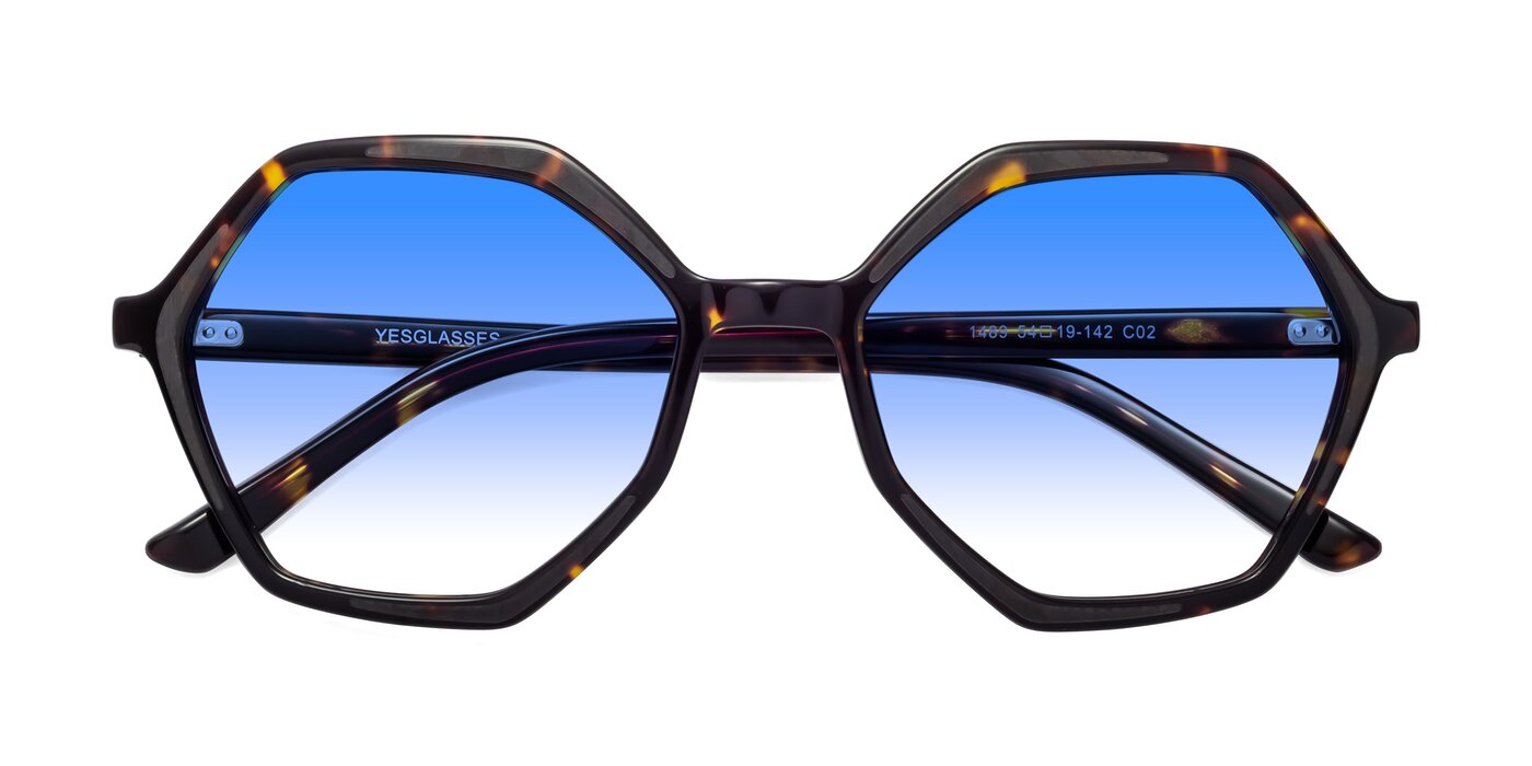 1489 - Tortoise Gradient Sunglasses