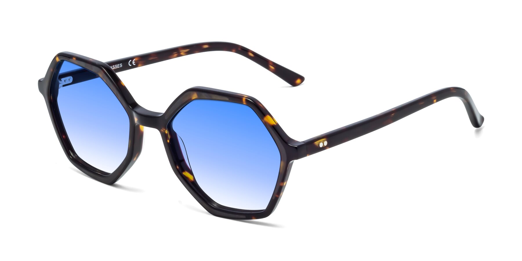 Angle of 1489 in Tortoise with Blue Gradient Lenses