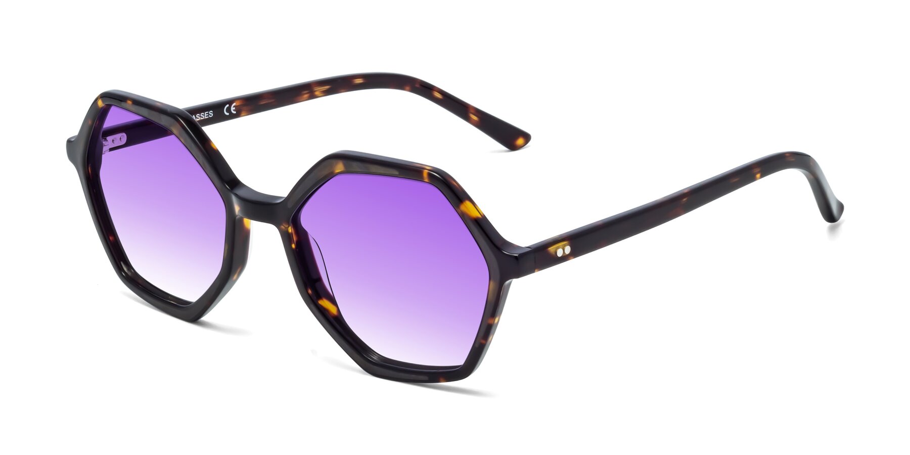 Angle of 1489 in Tortoise with Purple Gradient Lenses
