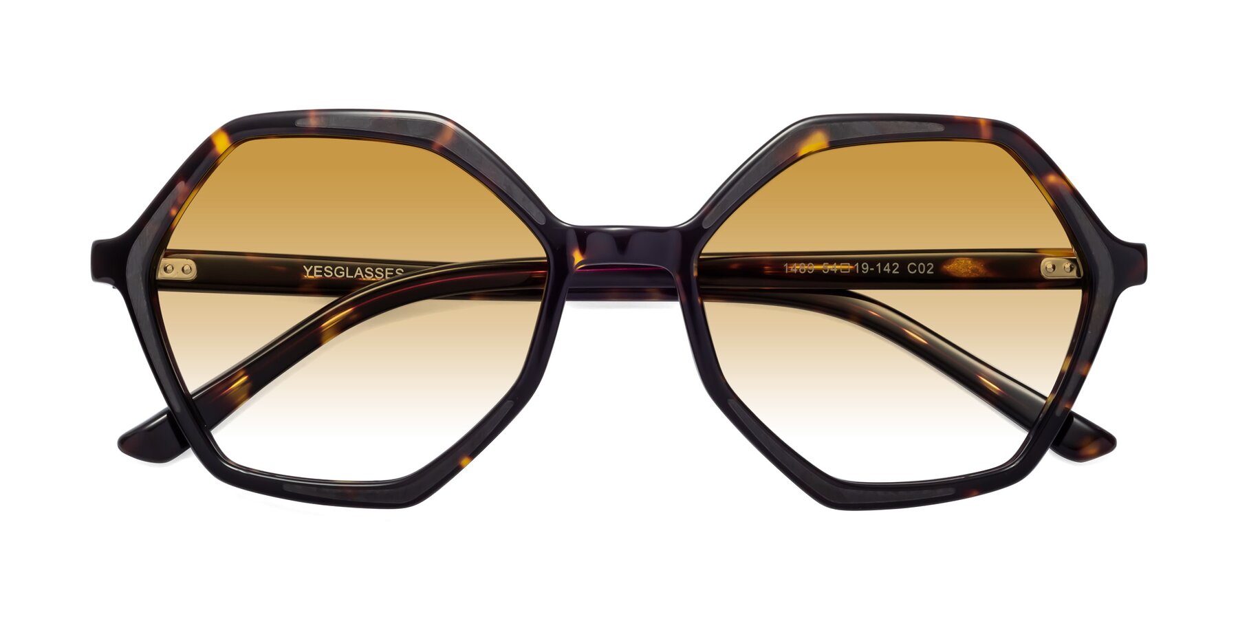 Folded Front of 1489 in Tortoise with Champagne Gradient Lenses